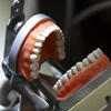 an image of dentures