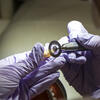 gloved hands holding dental tools