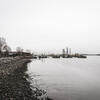 An image of a Delaware River bank