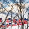 image of American flags.
